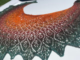 Hand Knit Autumn Crescent Shape Lace Shawl